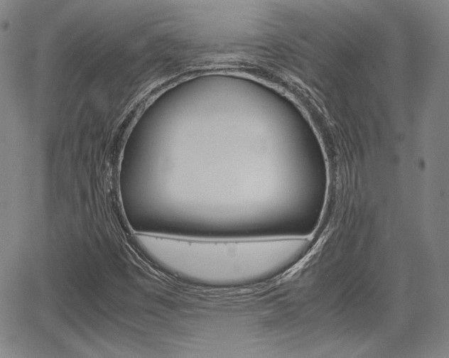X0000067891449200604131002