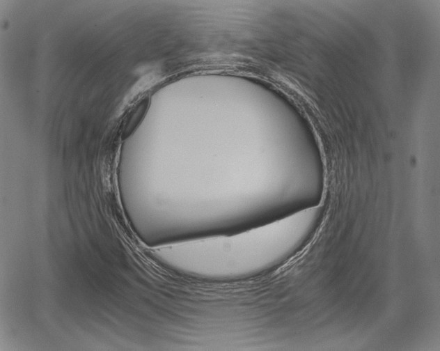 X0000067891451200604131002