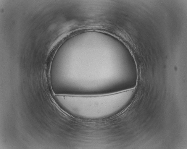 X0000067891452200604131001