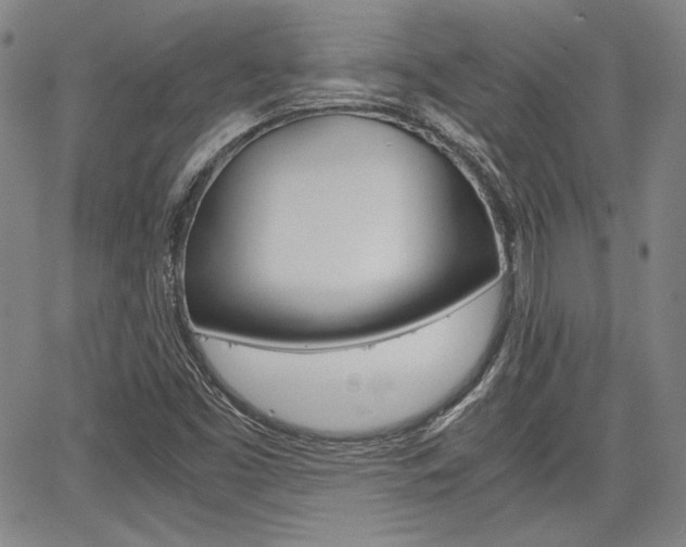 X0000067891453200604131001