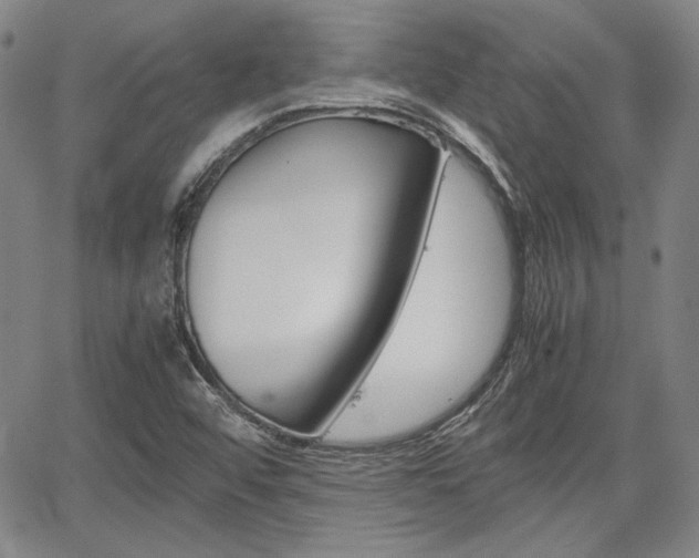 X0000067891456200604131001