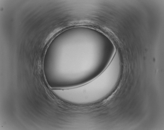 X0000067891457200604131001