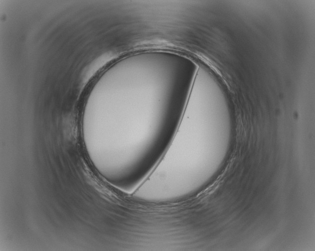 X0000067891458200604131001
