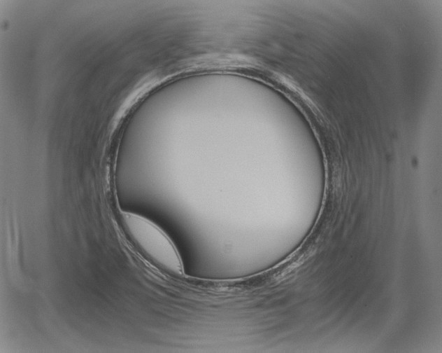 X0000067891459200604131001