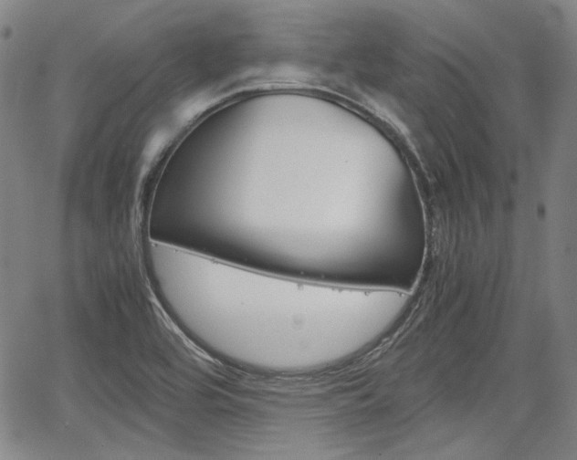 X0000067891464200604131001