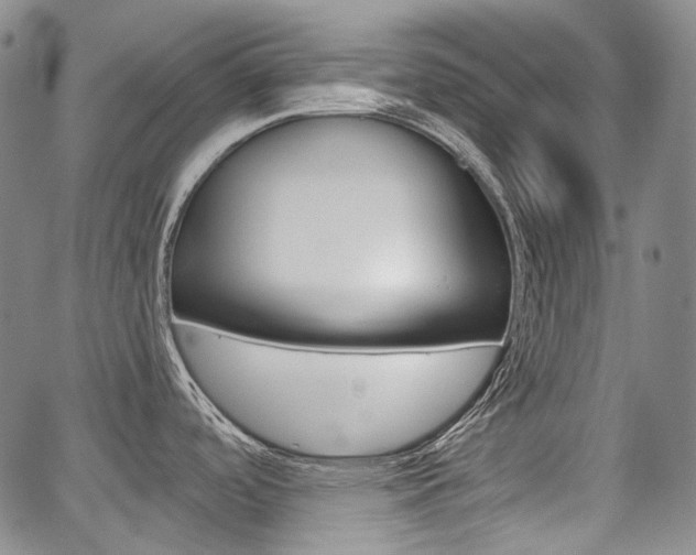 X0000067891488200604131001