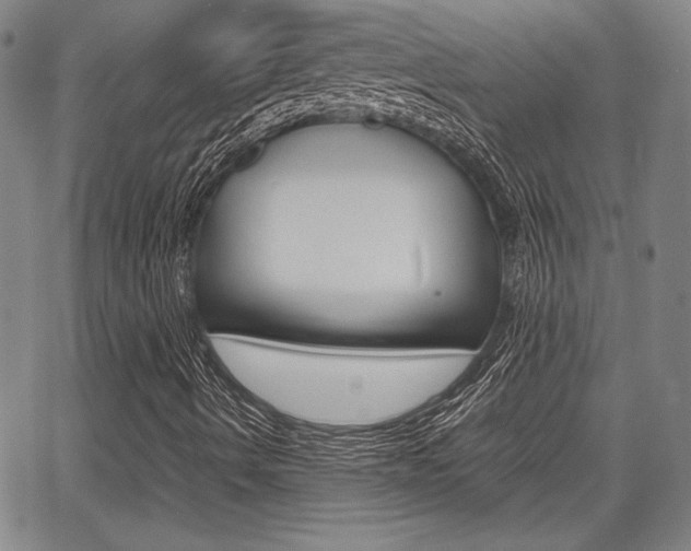 X0000067891490200604131000
