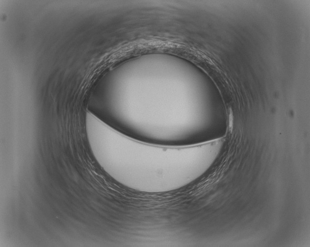X0000067891492200604131000