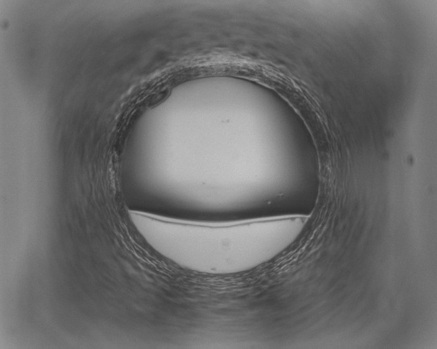 X0000067891493200604131000
