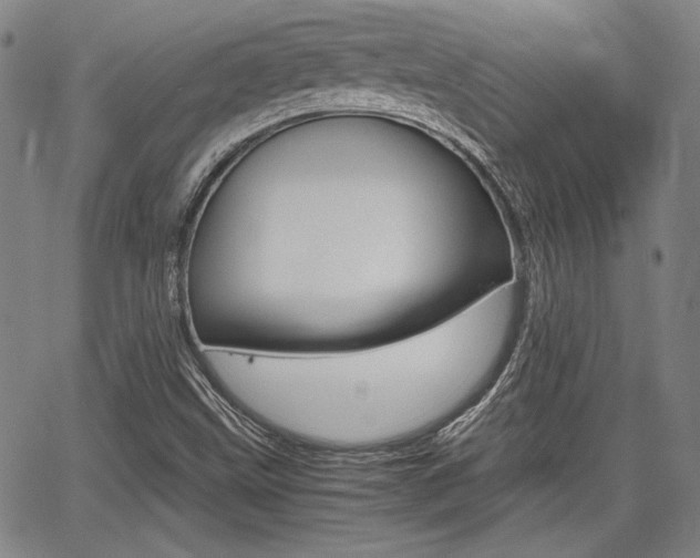 X0000067891499200604131000