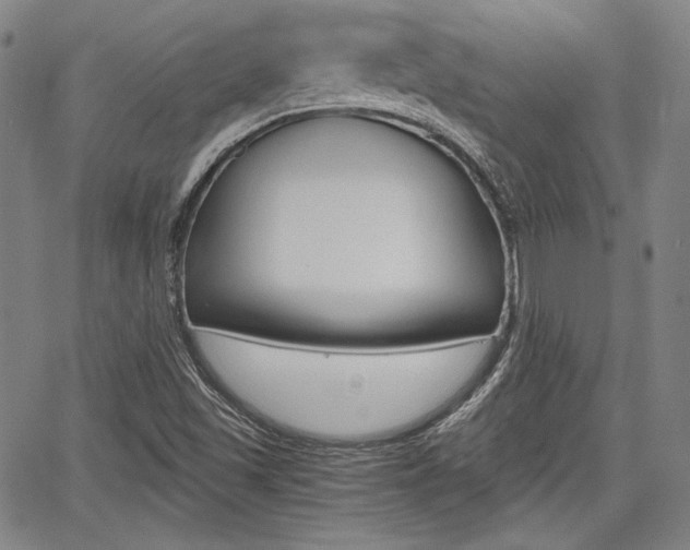 X0000067891501200604131000