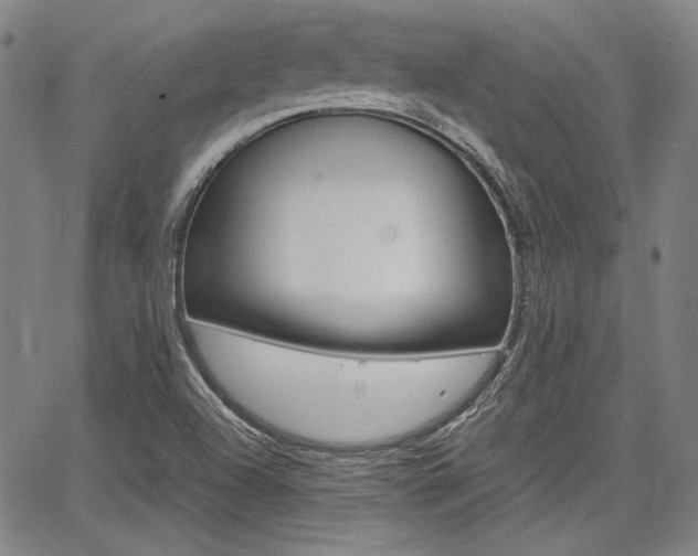 X0000067891504200604131000