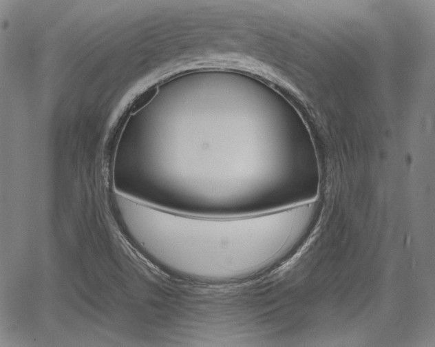 X0000067891506200604131000