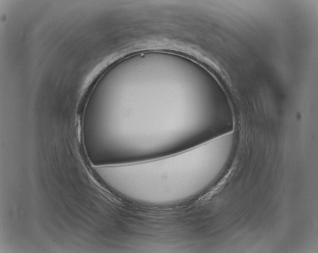 X0000067891509200604131000