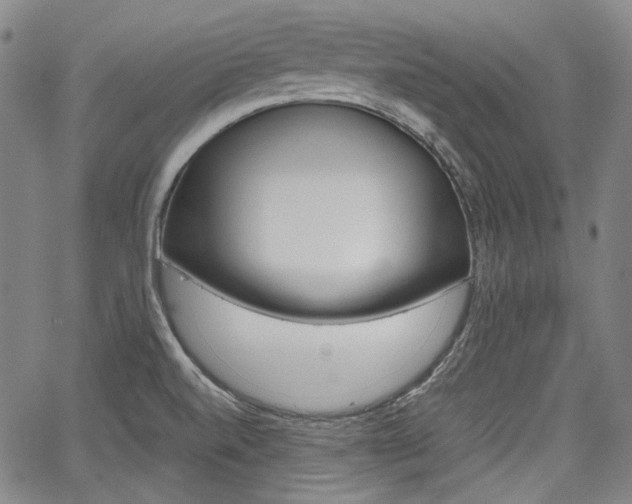X0000067891520200604131001
