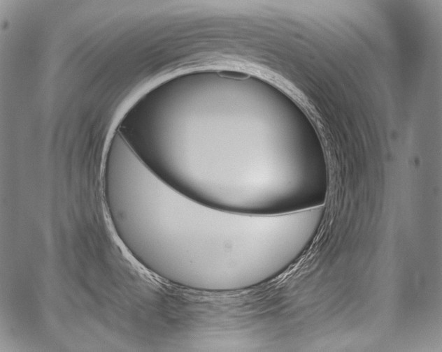 X0000067891536200604131001