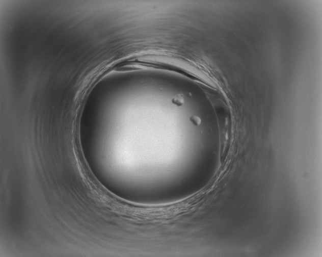 X0000067890001200604131340