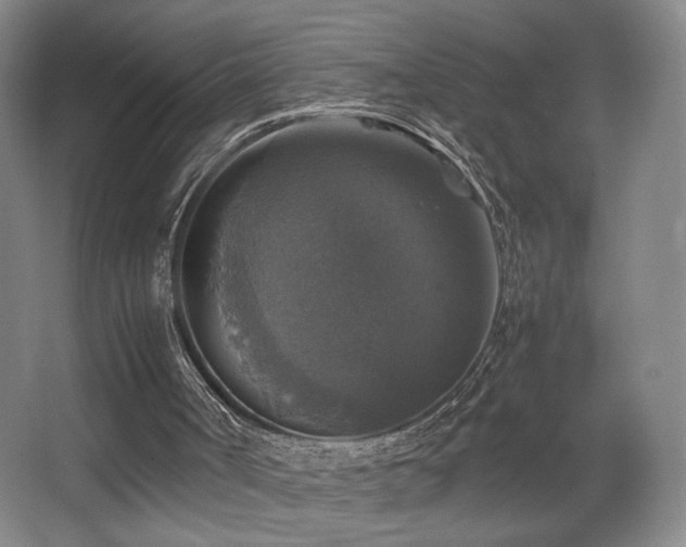 X0000067890002200604131340