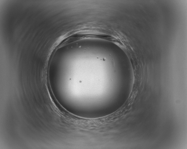 X0000067890003200604131340