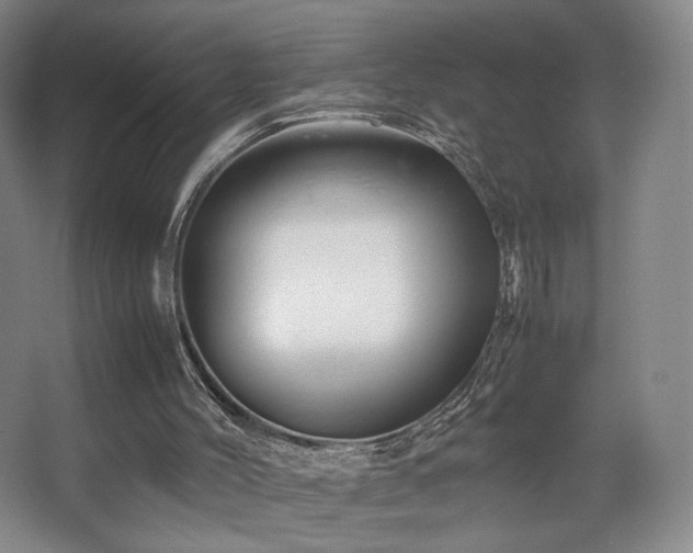 X0000067890004200604131340