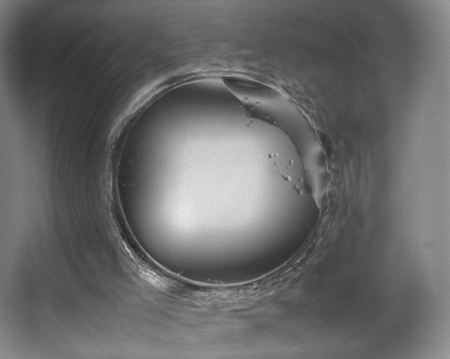 X0000067890005200604131340