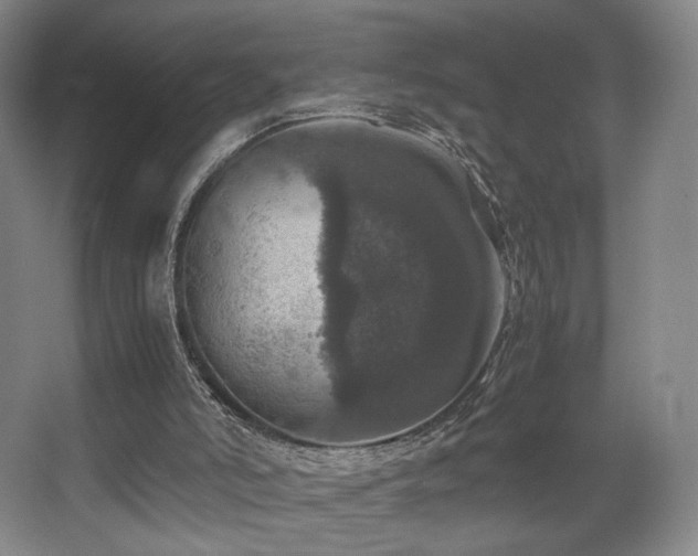 X0000067890006200604131340