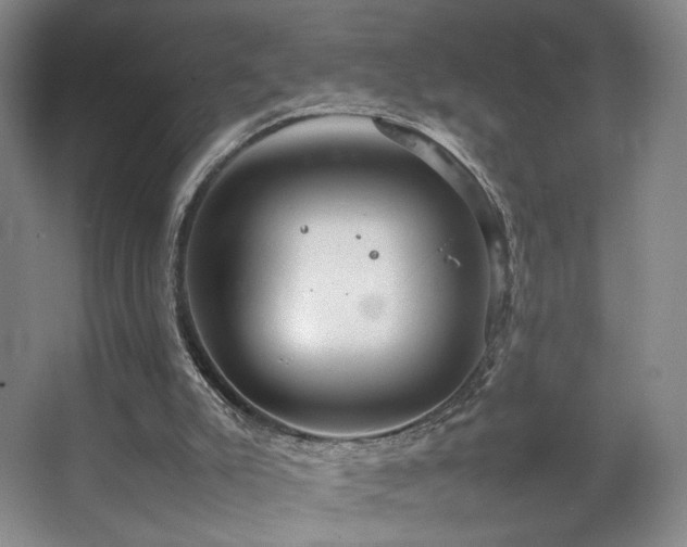 X0000067890007200604131340