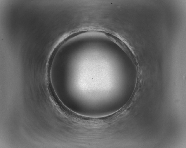 X0000067890008200604131340