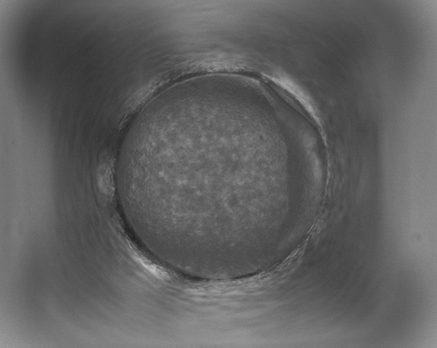 X0000067890009200604131340