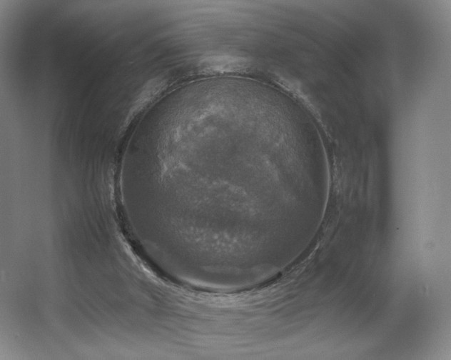 X0000067890010200604131340