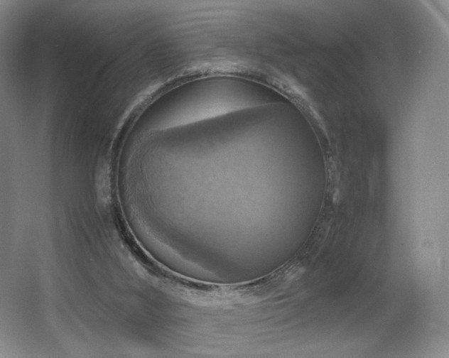 X0000067890012200604131340