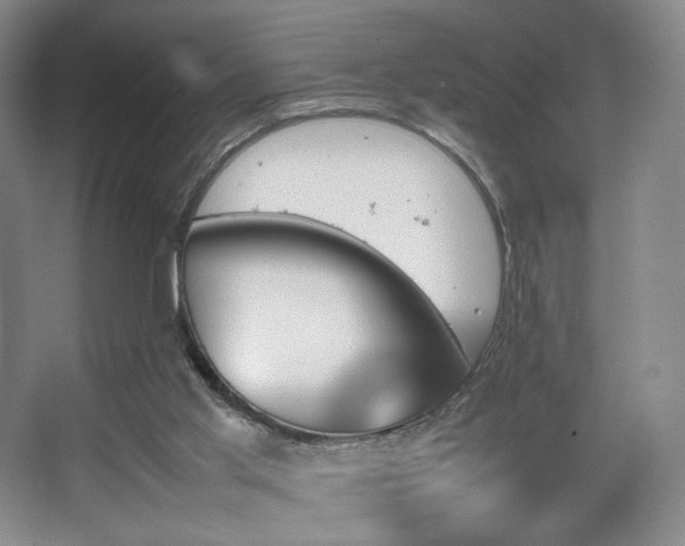 X0000067890013200604131340