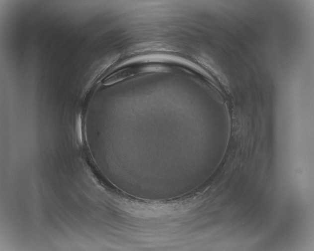 X0000067890014200604131340