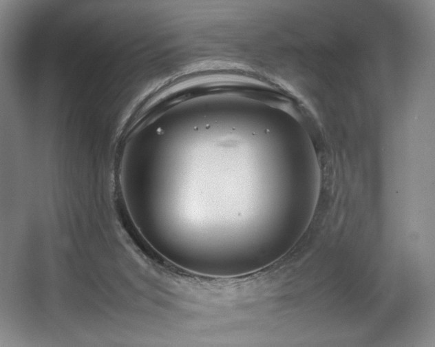 X0000067890015200604131340