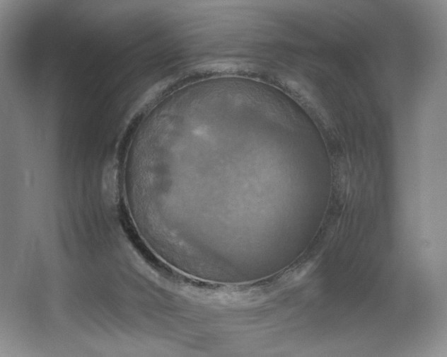 X0000067890016200604131340