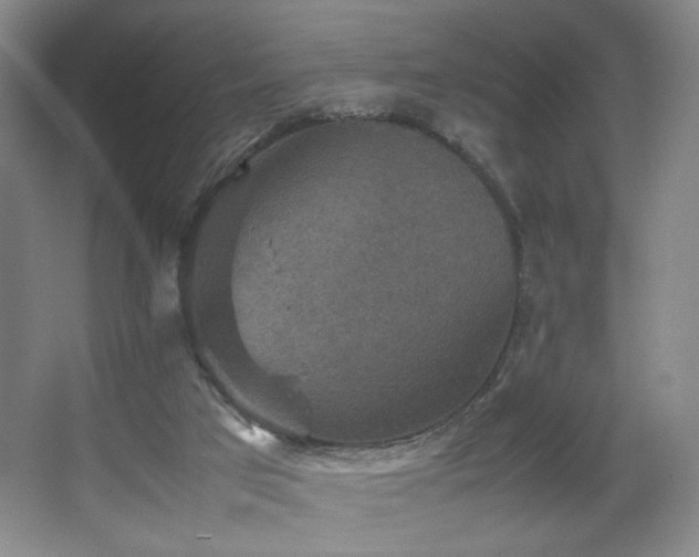 X0000067890017200604131340