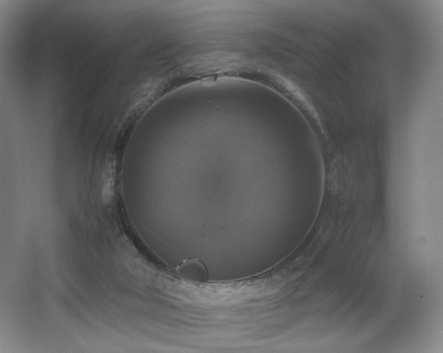 X0000067890018200604131340