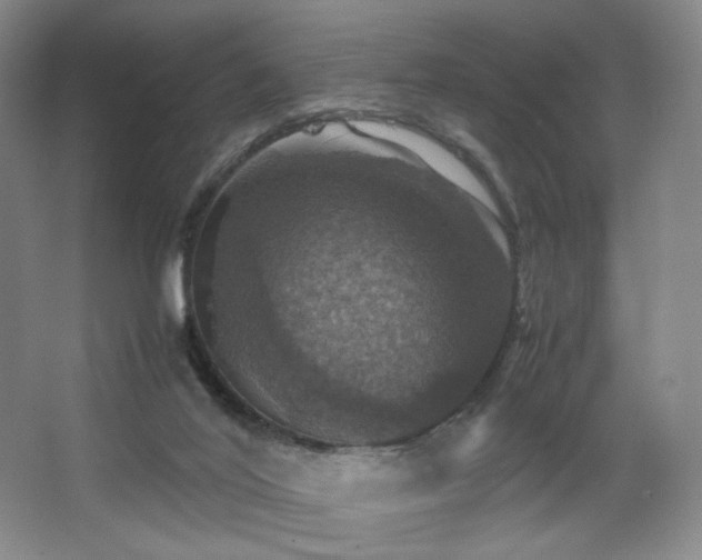 X0000067890020200604131340