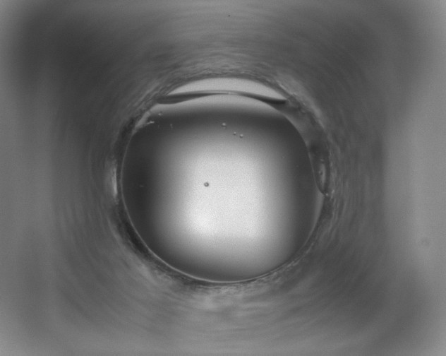 X0000067890021200604131340