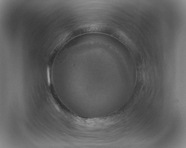 X0000067890022200604131340