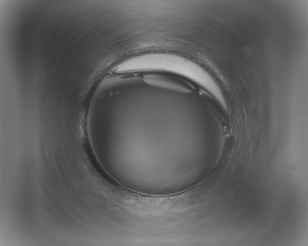 X0000067890023200604131340