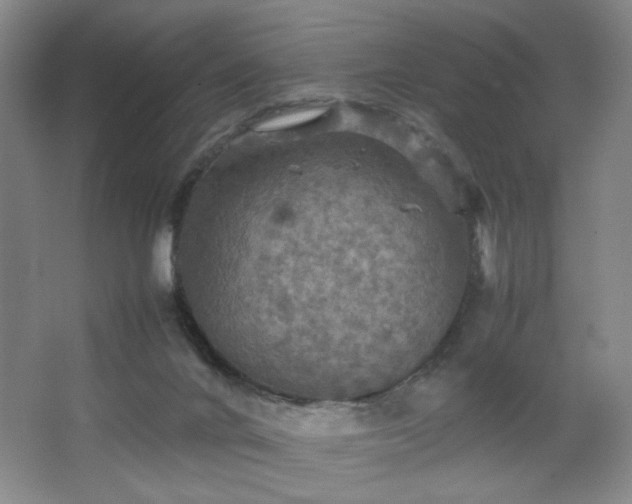 X0000067890024200604131340