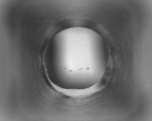 X0000067890025200604131340