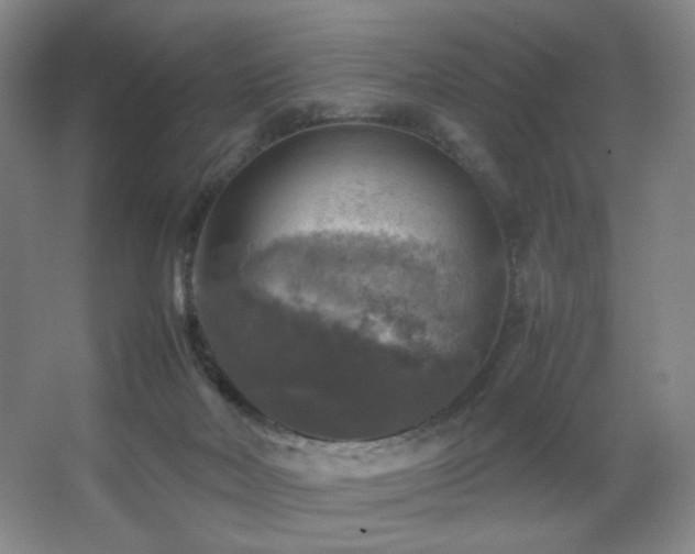 X0000067890026200604131340