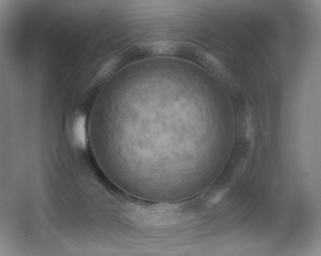 X0000067890028200604131340