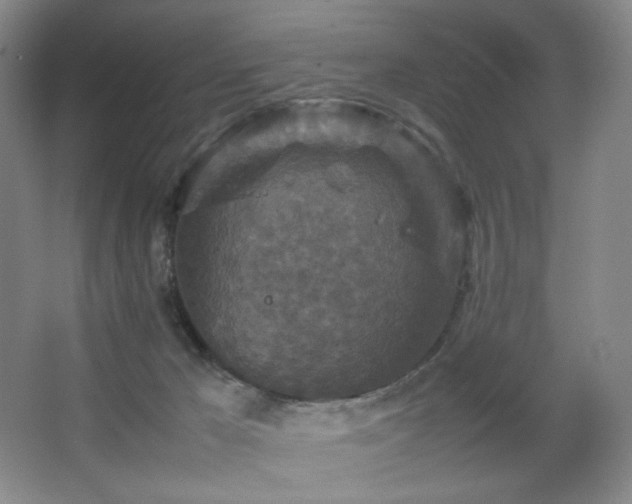 X0000067890029200604131340