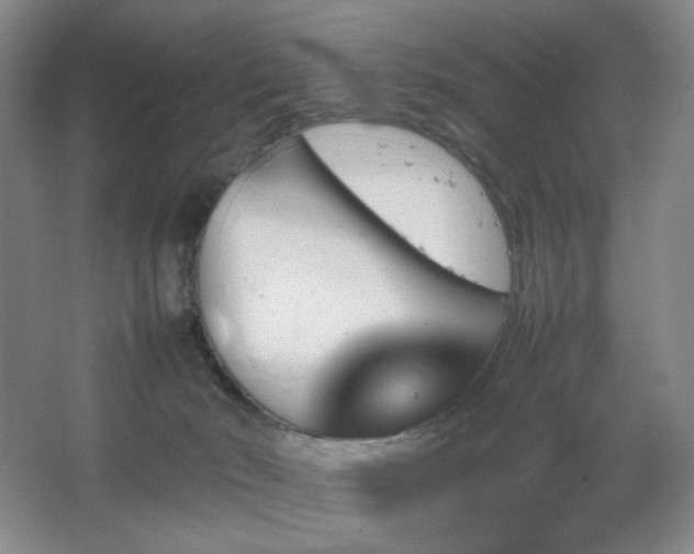 X0000067890030200604131340