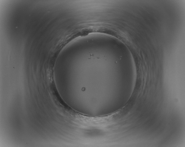 X0000067890031200604131340