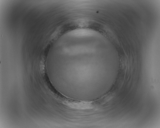 X0000067890032200604131340