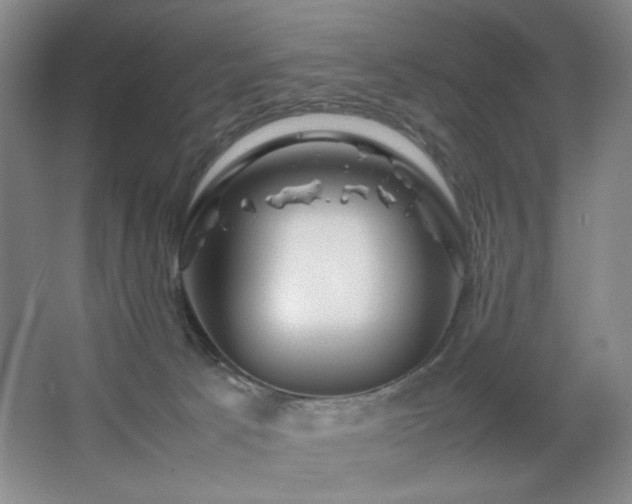 X0000067890033200604131340